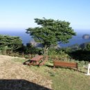 학포2교 이미지