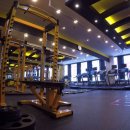 GM피티샵 이미지