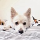 다름성형외과의원 이미지