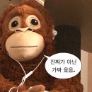 쥴리아클럽 | 한능검1급 나가신다 | Csi전형으로 입사시켜주세요