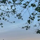 승학체육공원 이미지