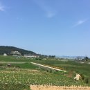 이일레1 네이버블로그