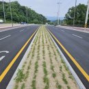 지방도345호(2) 이미지