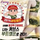 커브스 신곡클럽