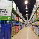 트레이더스 홀세일클럽 월평점 이미지