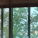 통일로식당 티스토리
