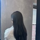 궁서채 성수점