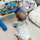 위에듀체육관 이미지