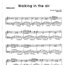 George Winston / Walking in the air 이미지