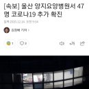 [속보] 울산 양지요양병원서 47명 코로나19 추가 확진 이미지