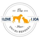 아이조아 이미지