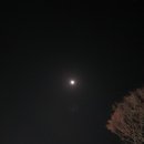 크린파트너 혁신센터 네이버블로그