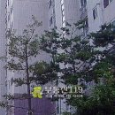 화산중앙로 이미지