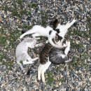 대청호풍경민박 이미지