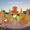 ㈜월드브릿지익스프레스 | 겨울 에버랜드 붕어빵 러쉬 - 아이랑 새해 방문기