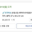 할리켄넬 이미지