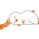 백미터세차장 네이버블로그