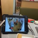 399 | 치앙마이 하이디라오 센트럴페스티벌점 행사(399바트 세트)