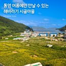 길천제2여자경로당 | 경남 통영 7월 여행지 2400평 해바라기마을에서 여름 꽃구경