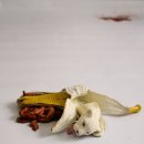 디자인공간 이미지
