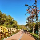 미평공원(오림동) 이미지