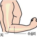 경희선진한의원 이미지