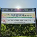 진천군정신보건센터 | [성지순례] 충북 진천 배티성지 방문 후기 – 고요한 숲 속의 성스러운 발걸음