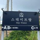 스테이 프랑 이미지