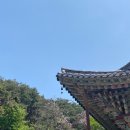 GS25 여주강변점 | 여주 여행 당일치기 코스 | 여주 남한강 출렁다리, 신륵사, 세종대왕릉