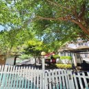 배내대리길 이미지