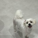 이뻐질개 이미지