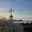 '공룡화석지해변길' '솔섬' 둘레길의 끝판왕 - 남파랑길 33코스