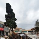 광남2동-12 이미지