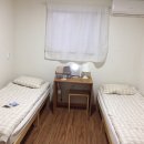 꿈꾸는 물고기 이미지