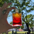 B05 | 오라소마 이퀼리브리엄 바틀 B05 | 일출일몰 바틀 후기