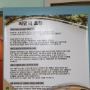 송원막국수 이미지