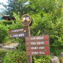 장창주농장 | 5월 20일 무주반디랜드 야영장, 곤충박물관