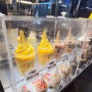 키그린하우스 이미지