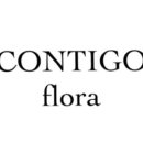 꼰띠고2 이미지