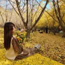 평안한치길 이미지