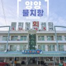 물치수산