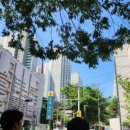 생활속생생부동산 이미지