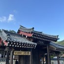 합천박물관 | 합천 신상 한옥카페 | 자리 카페 다녀온 후기