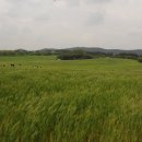 구시포해수욕장 이미지