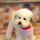 뭉치쌀롱 이미지