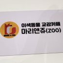 앤쥬 이미지