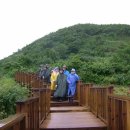 삼도목장 이미지