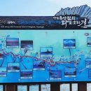 경주 양남 주상절리 후기: 해안 데크길과 전망대 관람 정보