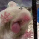 공원반점 이미지