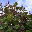 바람새마을 이미지